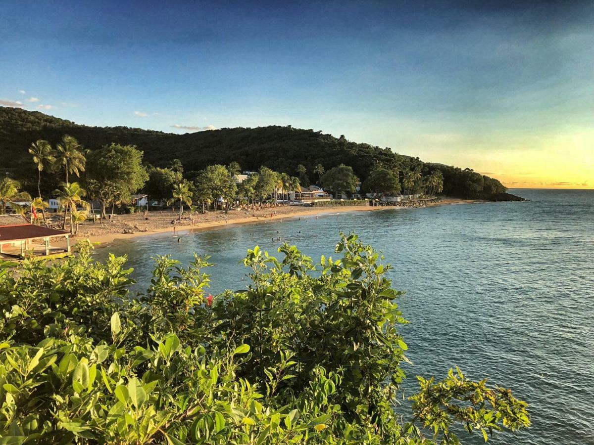 Gites Atemoya. Petit Bas Vent Fort Royal. Deshaies Buitenkant foto